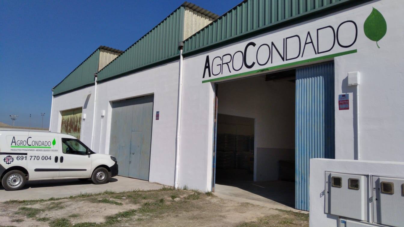 Centro en Beas de Segura